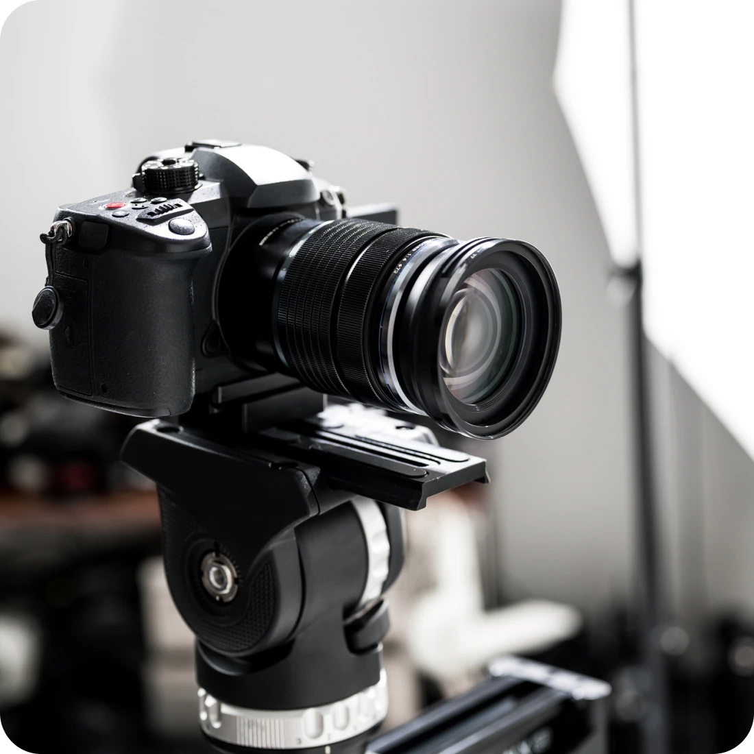 DXサポート領域