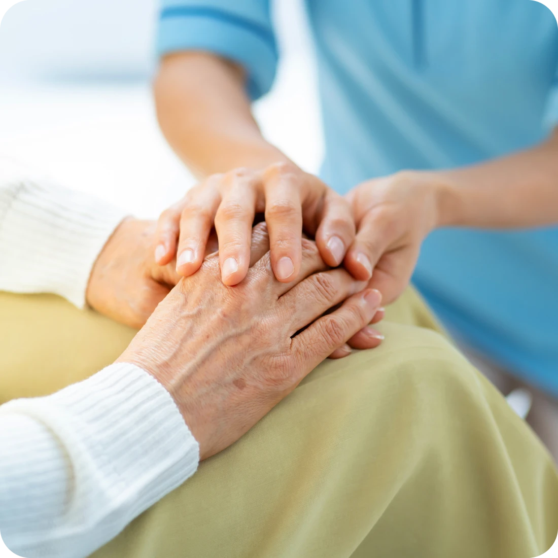 DXサポート領域